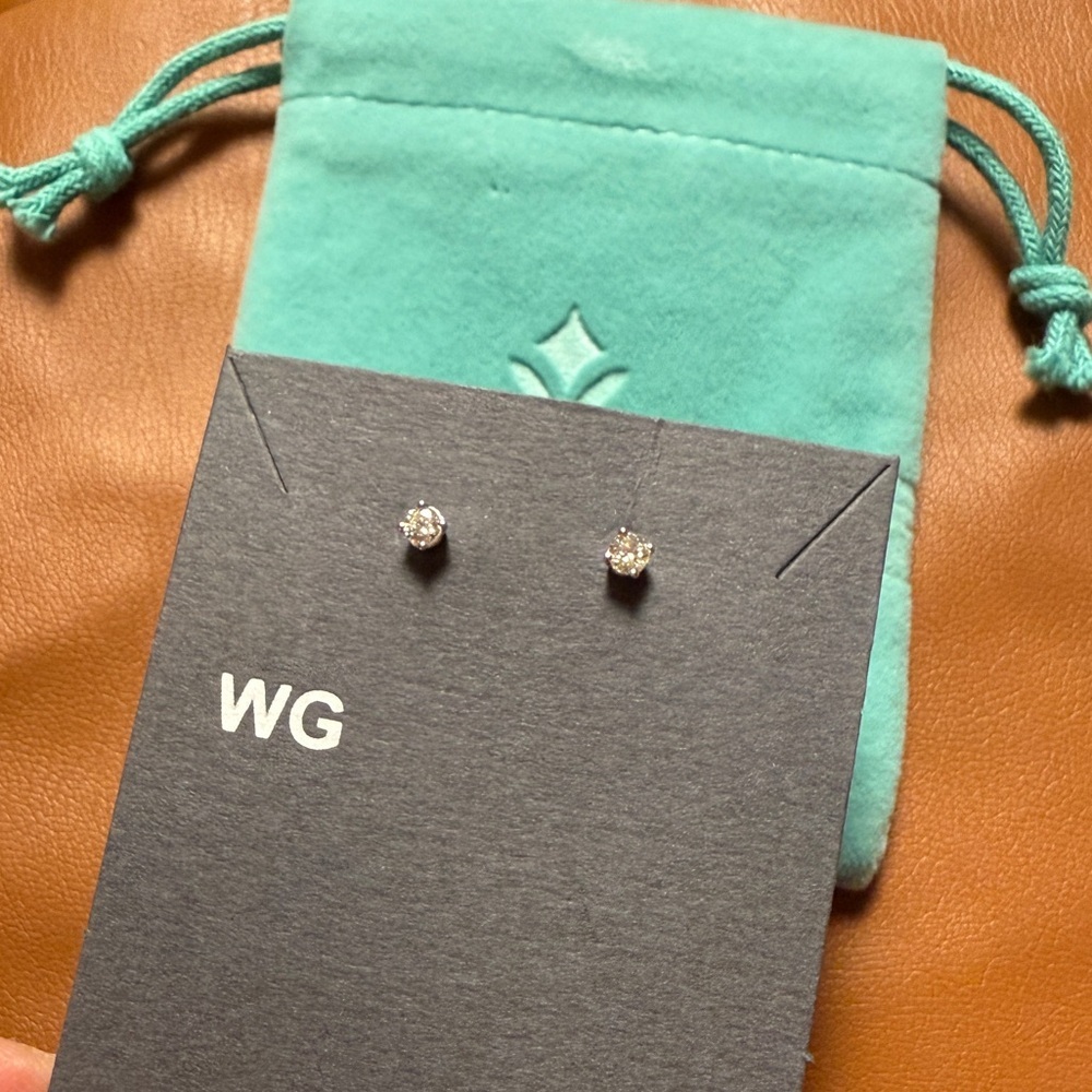 Brilliant Earth Lab Grown Diamond 1/4 Carat Silver Stud Earrings - Picture 5 of 10